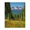 Stupell Industries Alpine Valley Meadow Canvas Wall Art Design by Andrew Kiss